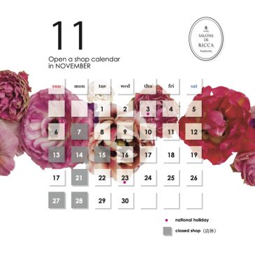 2016’11 calendar up!